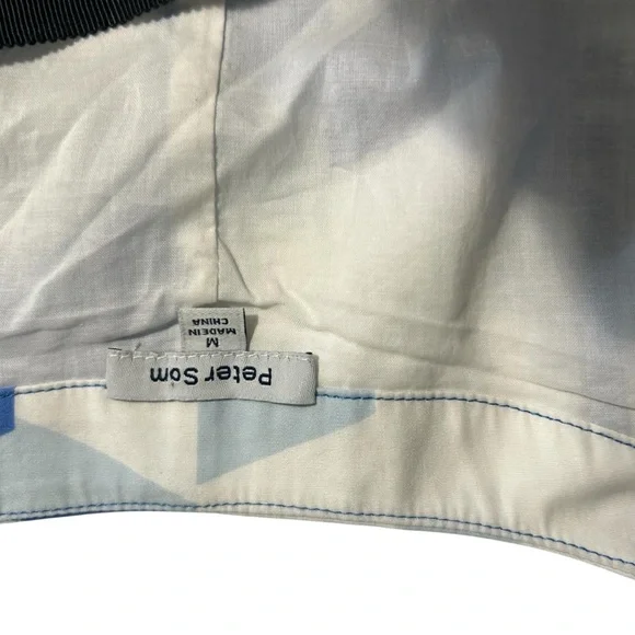 Anthropologie Blue and White Maxi Dress - Picture 12 of 12